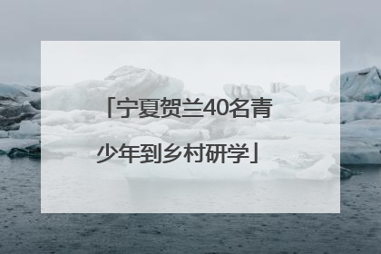 宁夏贺兰40名青少年到乡村研学